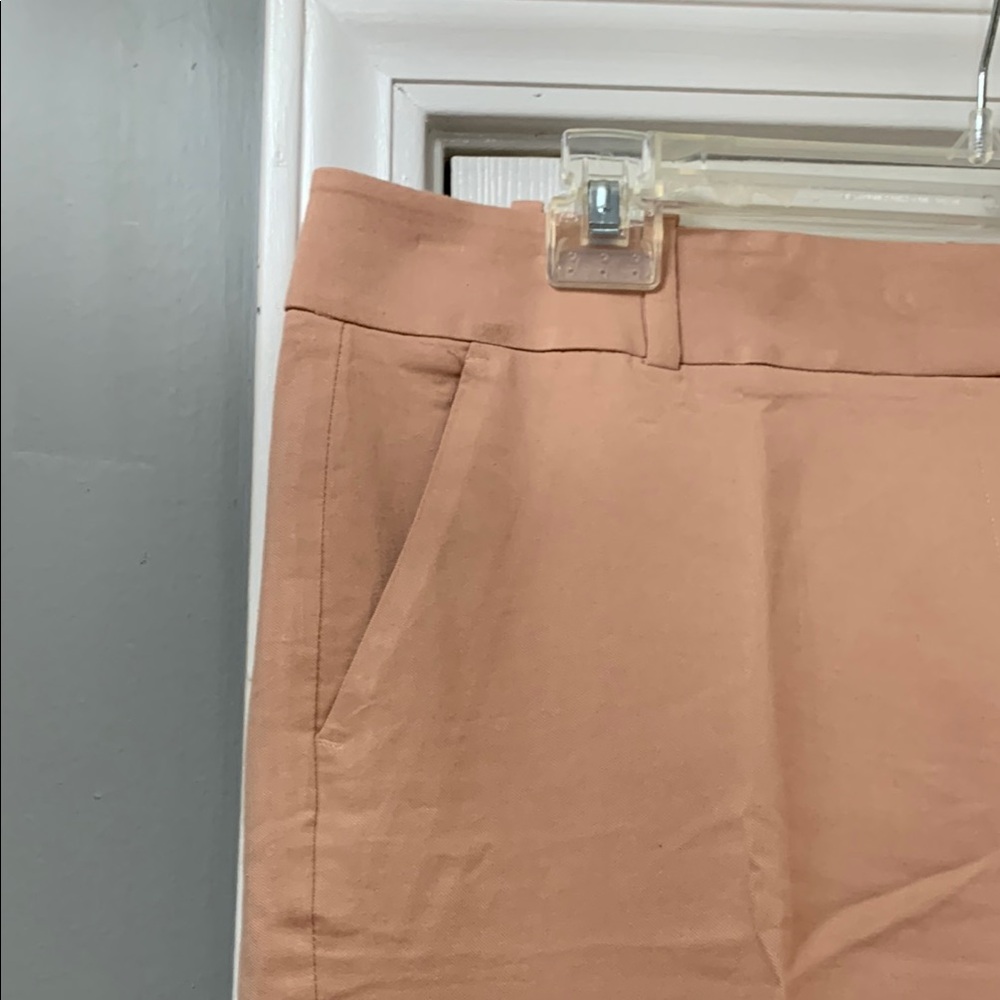 Loft Ann Taylor Chic Tan Trousers View 2